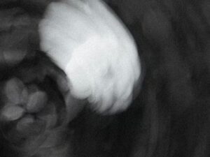 Klarowność zamiast chaosu: jak coaching pomaga podejmować decyzje zawodowe?